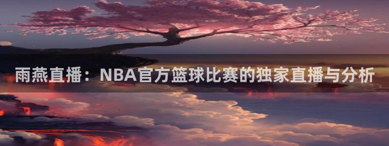 雨燕直播：NBA官方篮球比赛的独家直播与分析