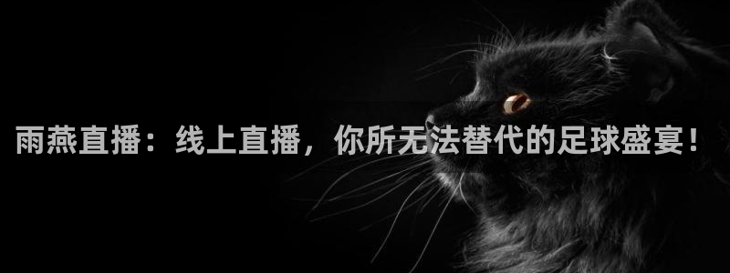 雨燕直播：线上直播，你所无法替代的足球盛宴！