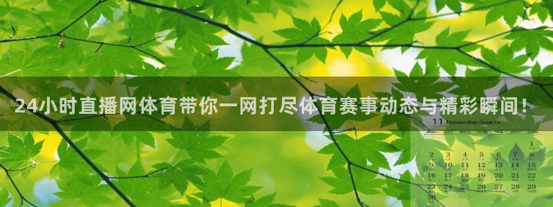 24小时直播网体育带你一网打尽体育赛事动态与精彩瞬间！