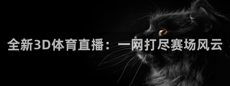 全新3D体育直播：一网打尽赛场风云