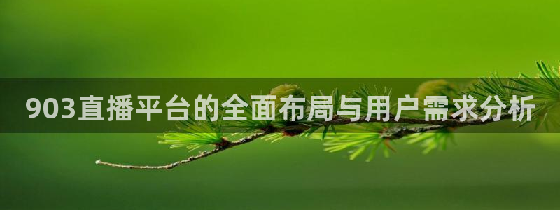 903直播平台的全面布局与用户需求分析