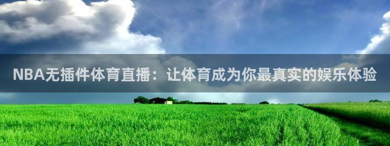 NBA无插件体育直播：让体育成为你最真实的娱乐体验