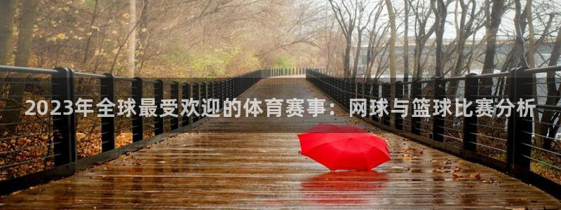 2023年全球最受欢迎的体育赛事：网球与篮球比赛分析
