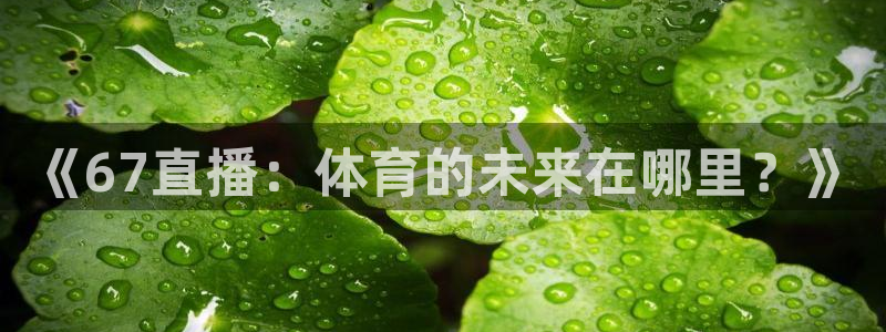 《67直播：体育的未来在哪里？》