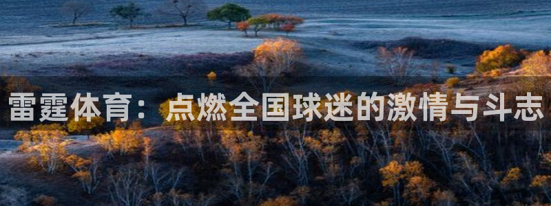 雷霆体育：点燃全国球迷的激情与斗志
