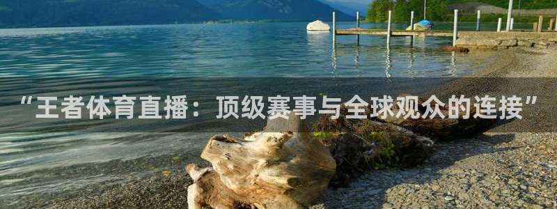 “王者体育直播：顶级赛事与全球观众的连接”